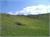DSCF0806