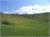 DSCF0807
