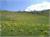 DSCF0808
