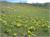 DSCF0810