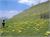 DSCF0811