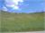 DSCF0816
