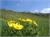 DSCF0817